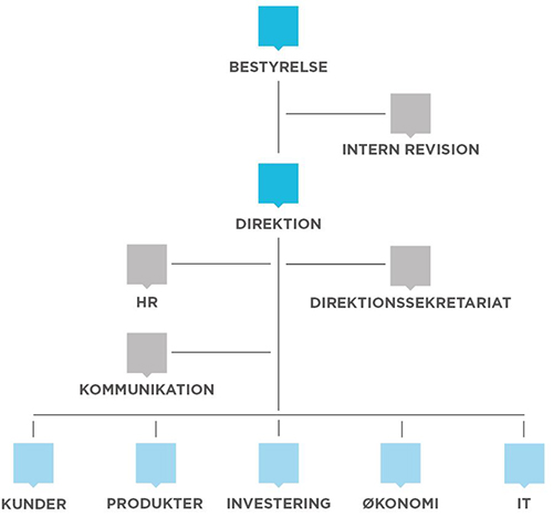 organisation og ledelse